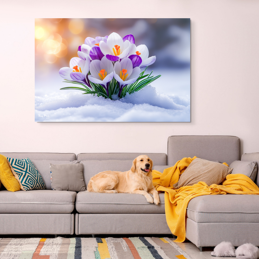 First Signs of Spring III