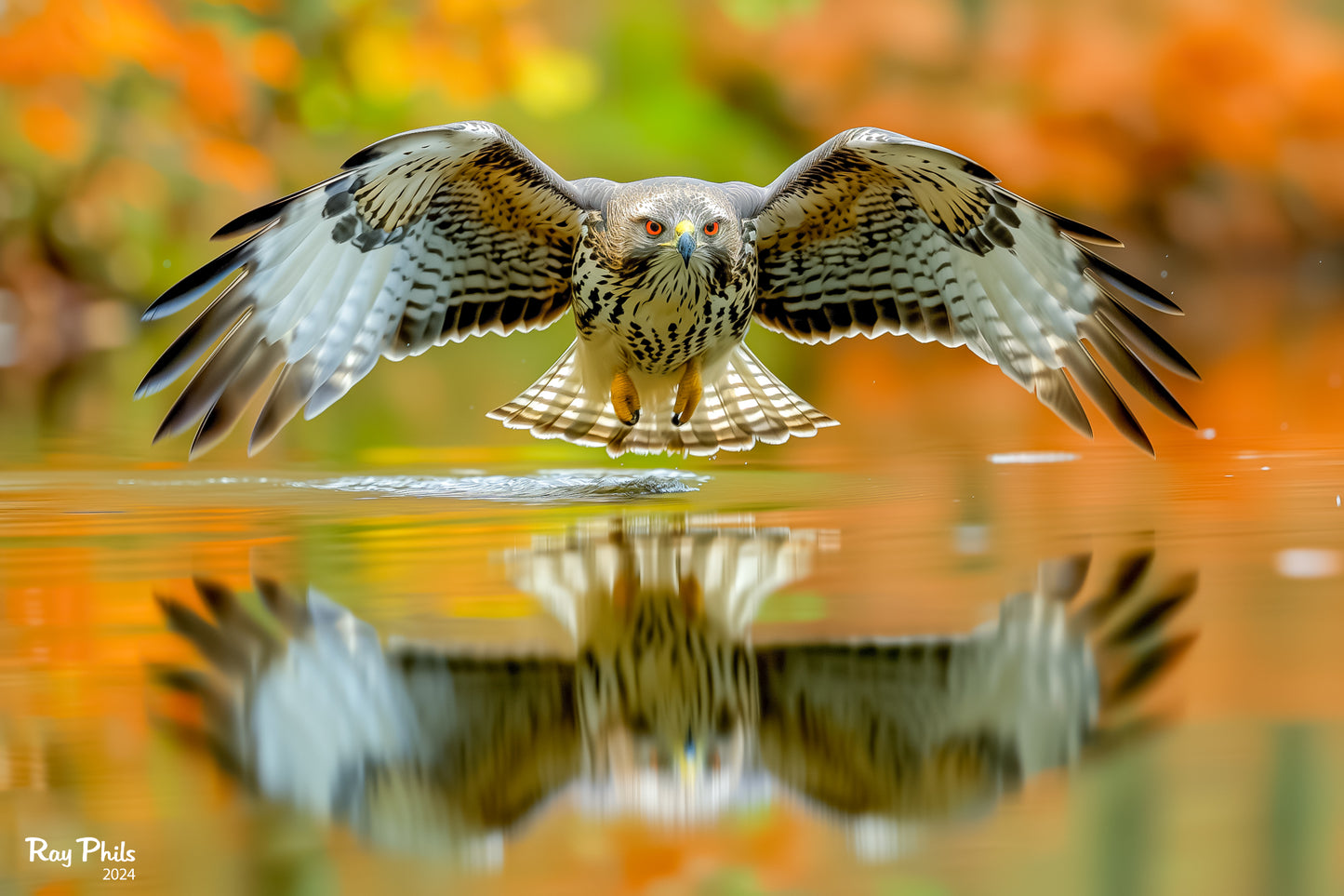 Dutch Nature III