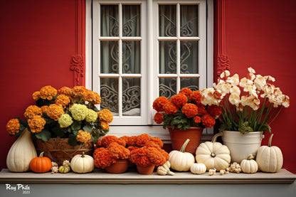 Autumn's Vibrant Contrast IV