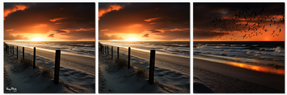 Seashore triple IV